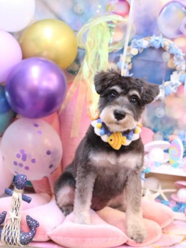 20240822ひじきちゃん